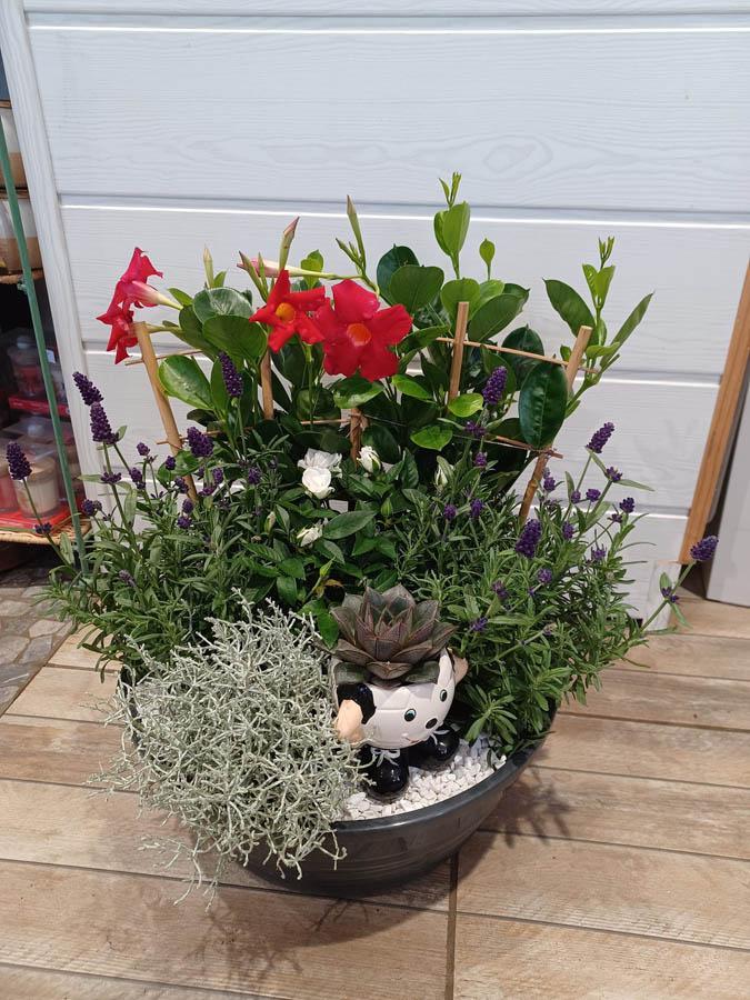 Fleuriste d'anniversaire Beaumont-le-Roger