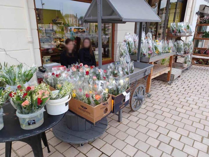 Livraison de fleurs Beaumont-le-Roger